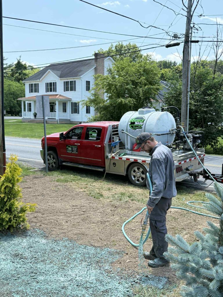 hydroseeding image