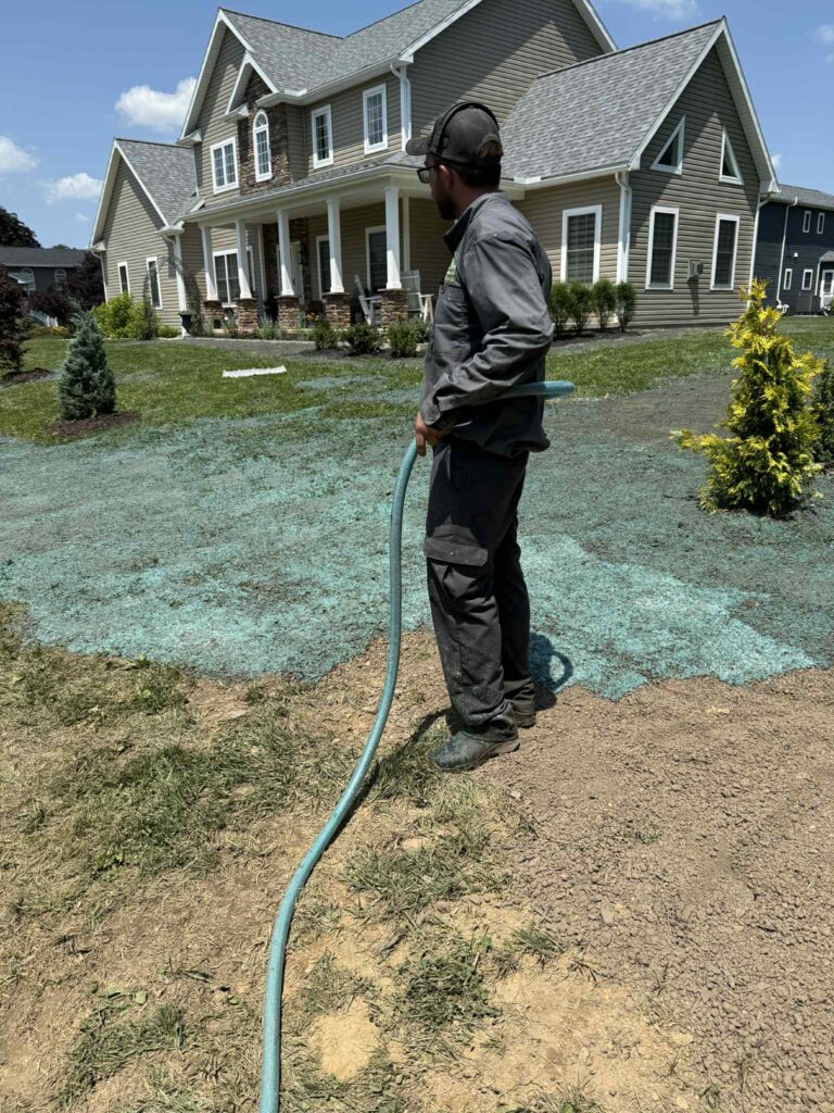 hydroseeding image
