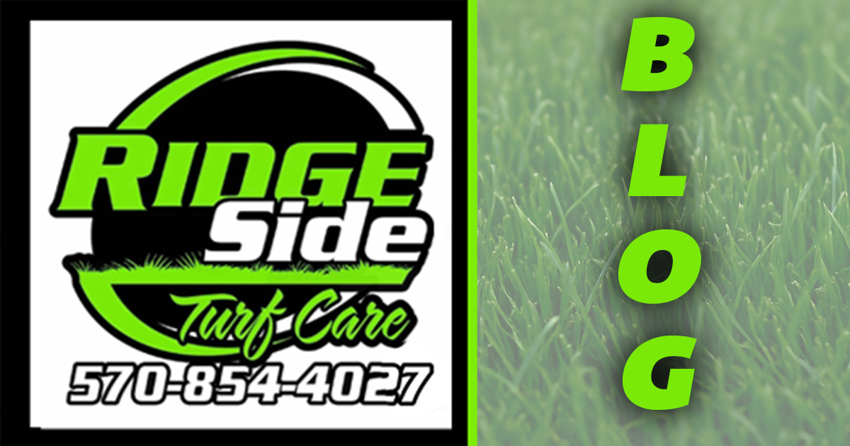 Side To Side Ridges Blog - Ridge Side Turf Care