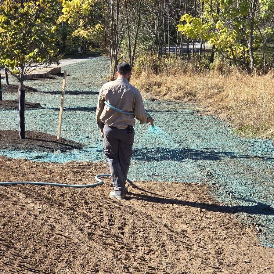 hydroseeding image